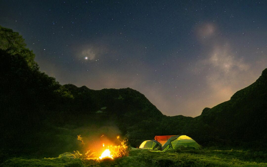 The Forest Never Sleeps