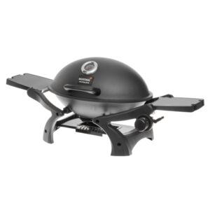 gas grill
