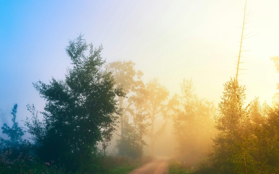 The Road Between Nowhere and Peace