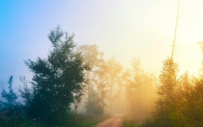 The Road Between Nowhere and Peace